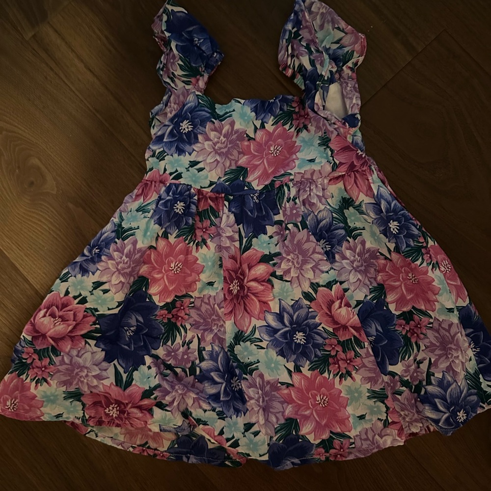Janie and Jack Pink and Blue Floral Dress